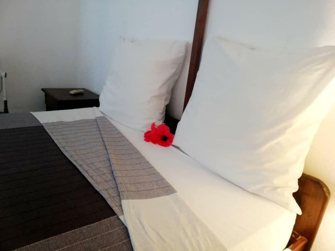 Hotel Jardin De La Paix موروني المظهر الخارجي الصورة